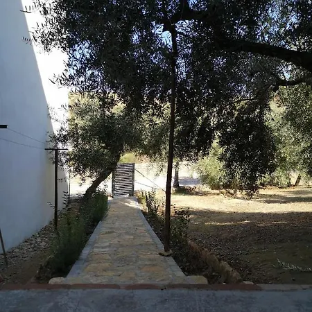 Apartamento El Carmen Setenil De Las Bodegas Buitenkant foto