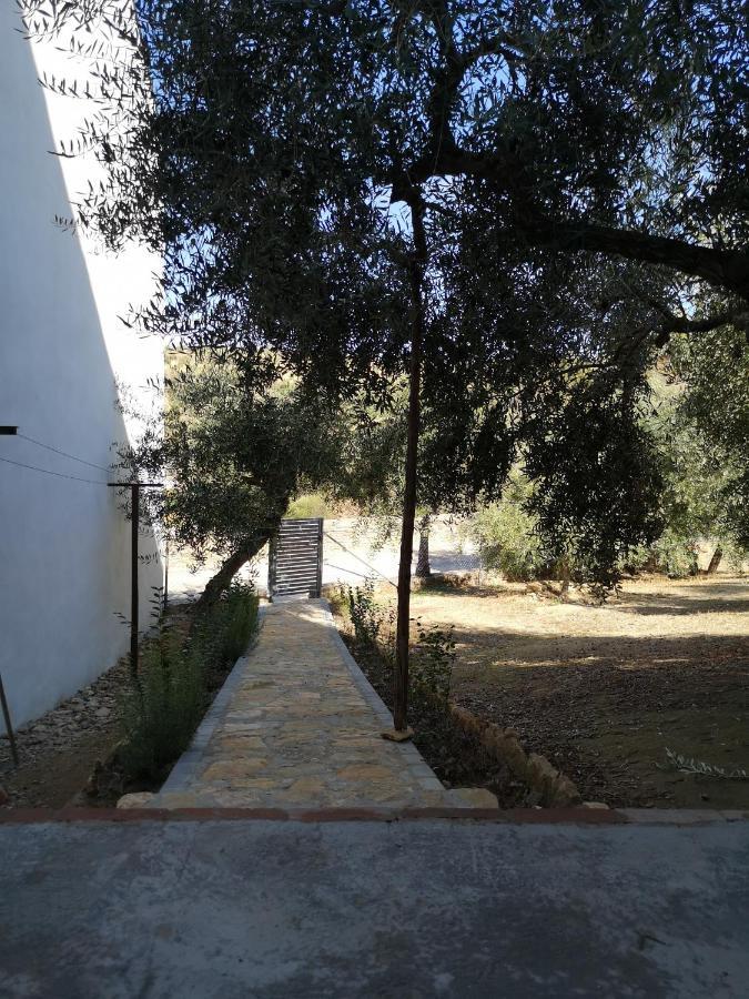 Apartment El Carmen *